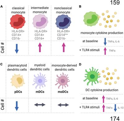 Dysregulation of Systemic Immunity in Aging and Dementia